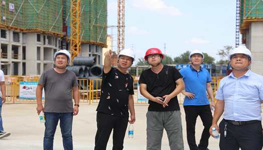 完美电竞平台官网董事会巡检圆满完成